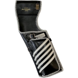 Angel Field Quiver